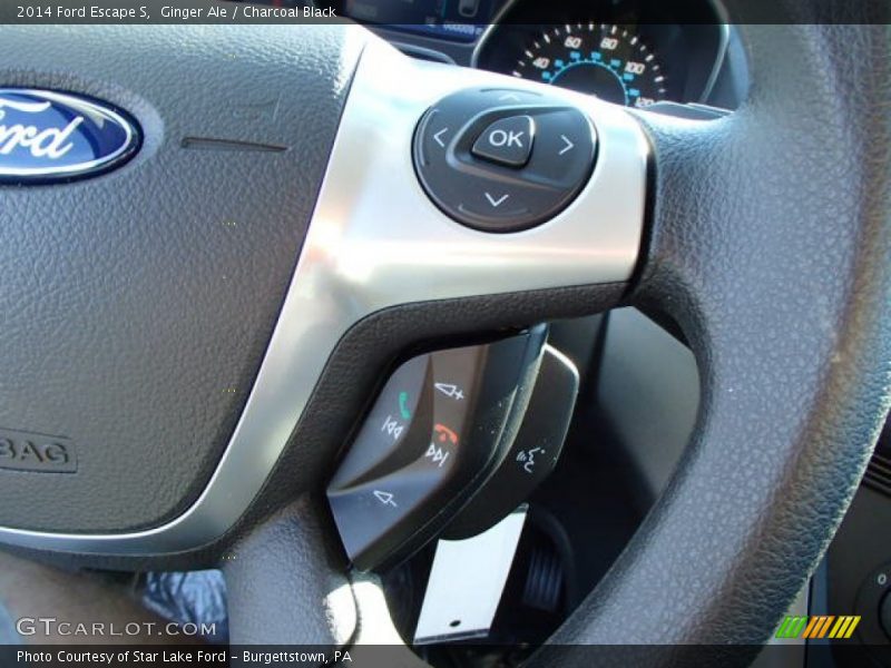 Ginger Ale / Charcoal Black 2014 Ford Escape S