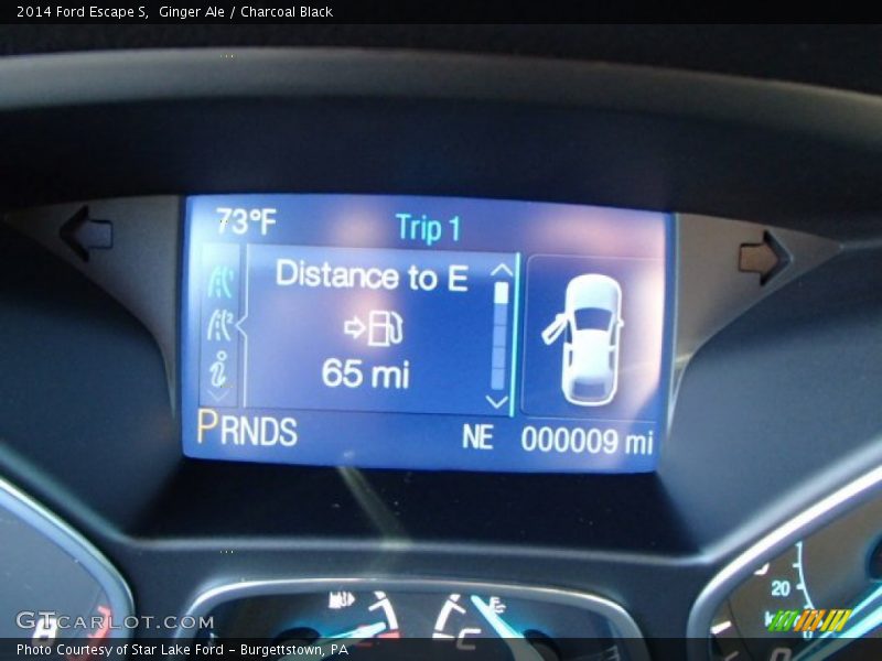 Ginger Ale / Charcoal Black 2014 Ford Escape S