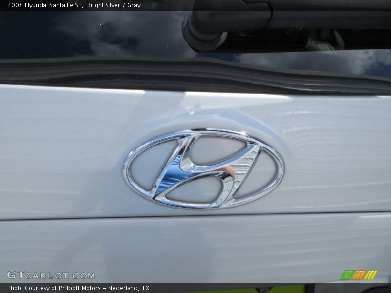 Bright Silver / Gray 2008 Hyundai Santa Fe SE