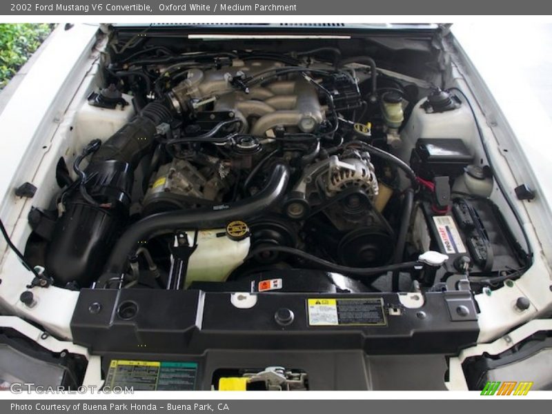 Oxford White / Medium Parchment 2002 Ford Mustang V6 Convertible