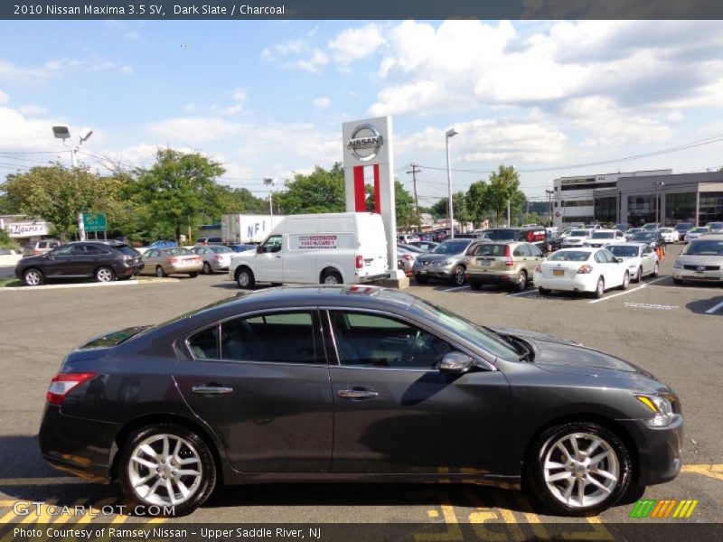 Dark Slate / Charcoal 2010 Nissan Maxima 3.5 SV