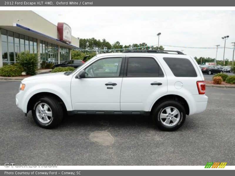 Oxford White / Camel 2012 Ford Escape XLT 4WD