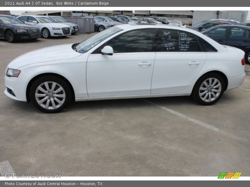 Ibis White / Cardamom Beige 2011 Audi A4 2.0T Sedan
