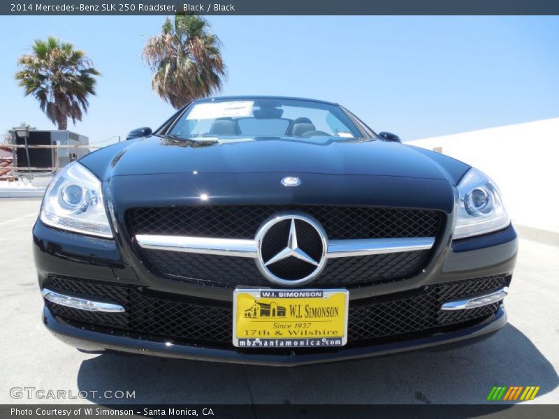 Black / Black 2014 Mercedes-Benz SLK 250 Roadster