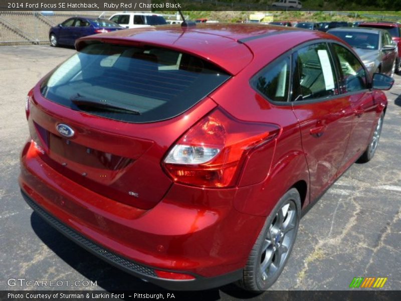  2014 Focus SE Hatchback Ruby Red