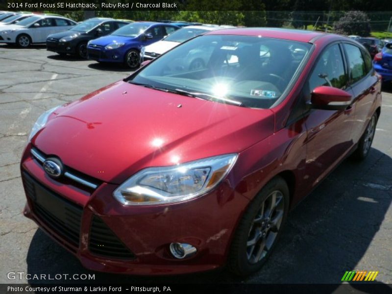 Ruby Red / Charcoal Black 2014 Ford Focus SE Hatchback