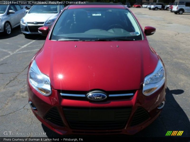 Ruby Red / Charcoal Black 2014 Ford Focus SE Hatchback