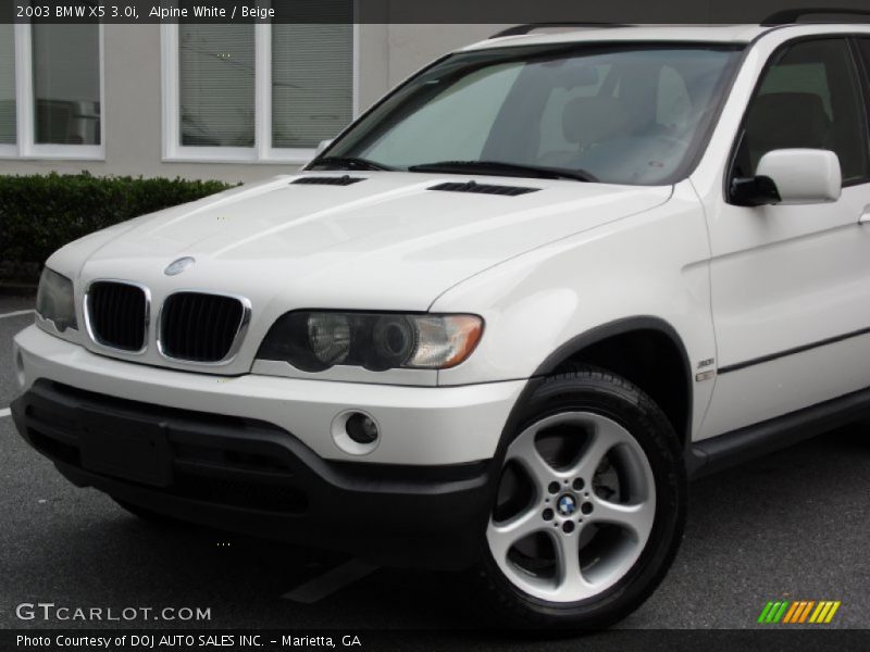 Alpine White / Beige 2003 BMW X5 3.0i