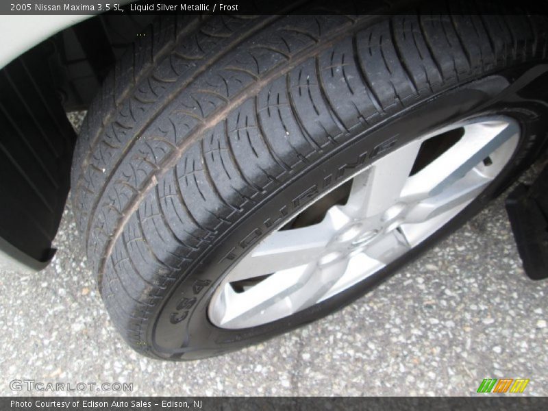 Liquid Silver Metallic / Frost 2005 Nissan Maxima 3.5 SL