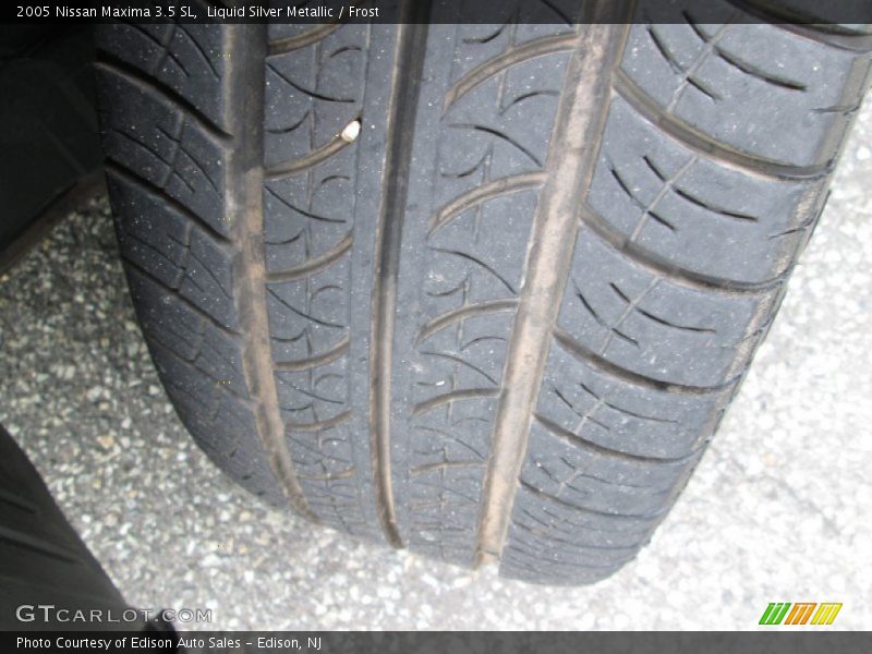 Liquid Silver Metallic / Frost 2005 Nissan Maxima 3.5 SL