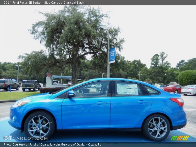  2014 Focus SE Sedan Blue Candy