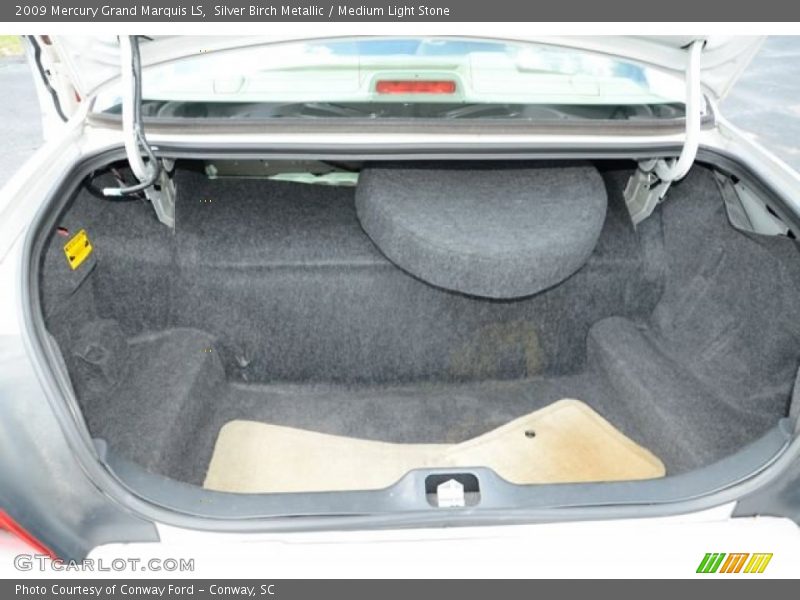 Silver Birch Metallic / Medium Light Stone 2009 Mercury Grand Marquis LS