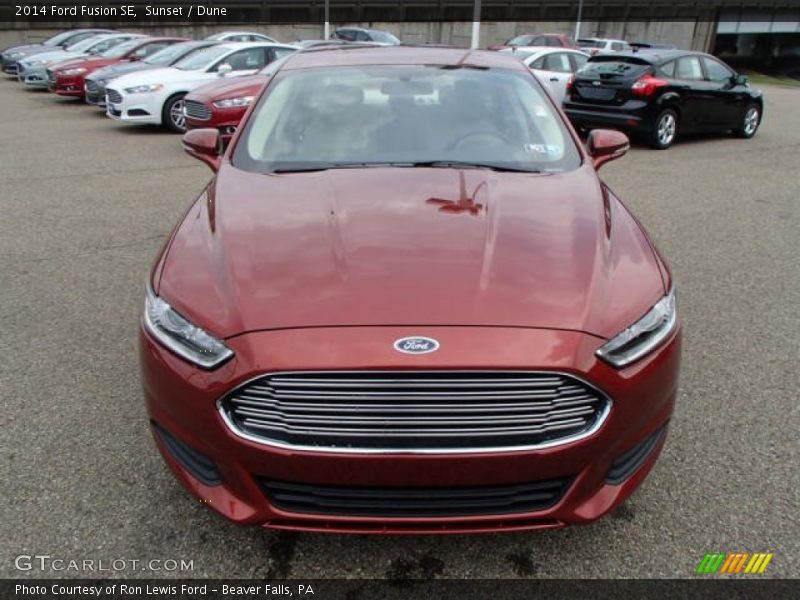  2014 Fusion SE Sunset