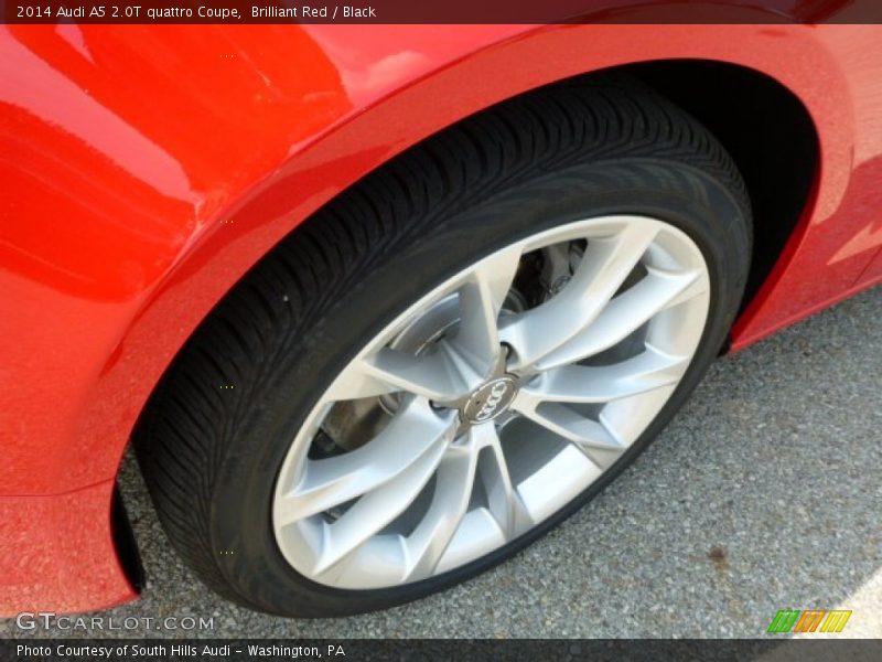 Brilliant Red / Black 2014 Audi A5 2.0T quattro Coupe