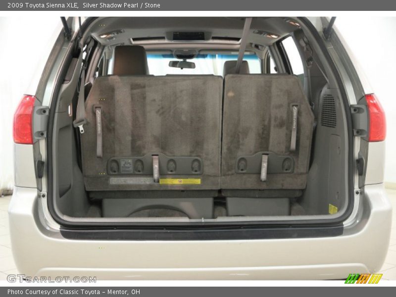 Silver Shadow Pearl / Stone 2009 Toyota Sienna XLE