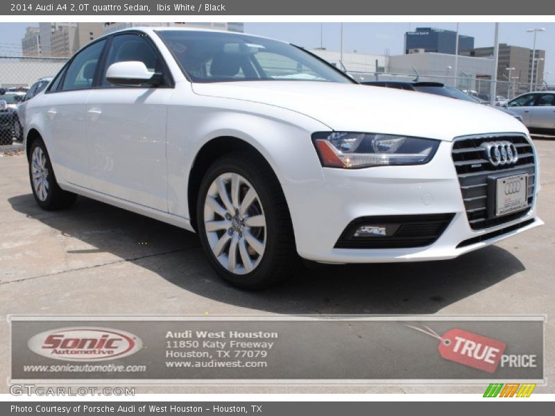 Ibis White / Black 2014 Audi A4 2.0T quattro Sedan