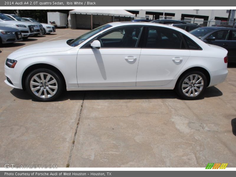  2014 A4 2.0T quattro Sedan Ibis White