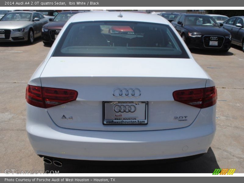Ibis White / Black 2014 Audi A4 2.0T quattro Sedan