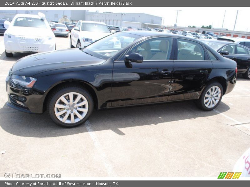Brilliant Black / Velvet Beige/Black 2014 Audi A4 2.0T quattro Sedan