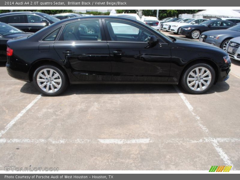 Brilliant Black / Velvet Beige/Black 2014 Audi A4 2.0T quattro Sedan