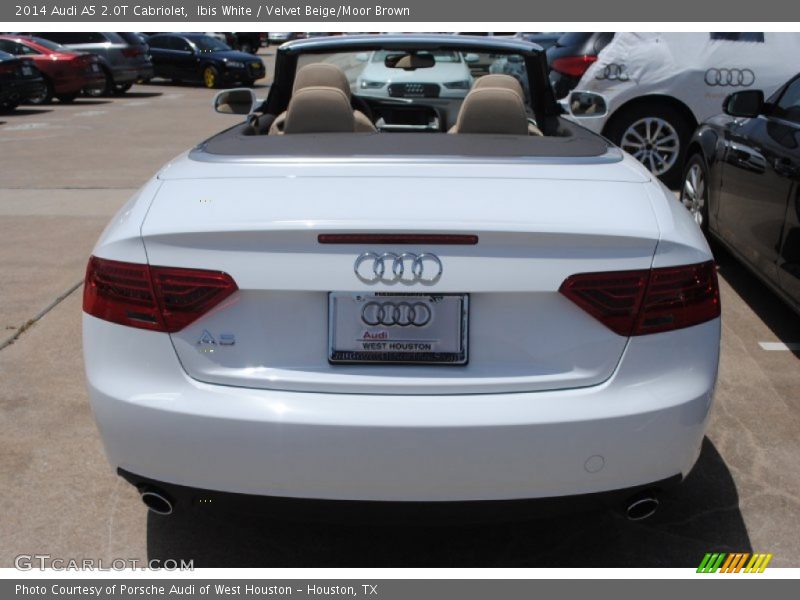 Ibis White / Velvet Beige/Moor Brown 2014 Audi A5 2.0T Cabriolet