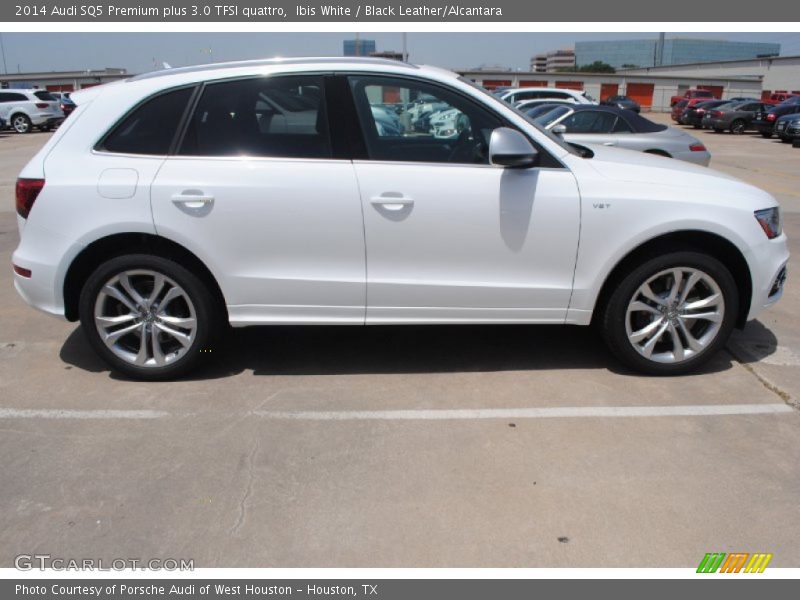  2014 SQ5 Premium plus 3.0 TFSI quattro Ibis White