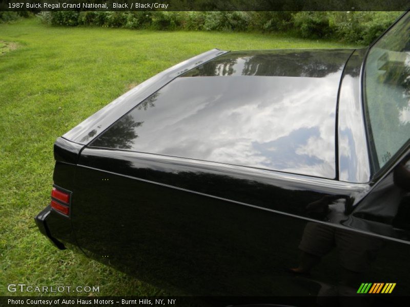 Black / Black/Gray 1987 Buick Regal Grand National