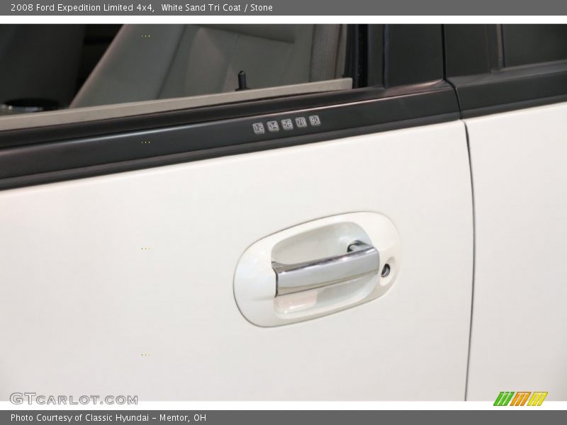 White Sand Tri Coat / Stone 2008 Ford Expedition Limited 4x4