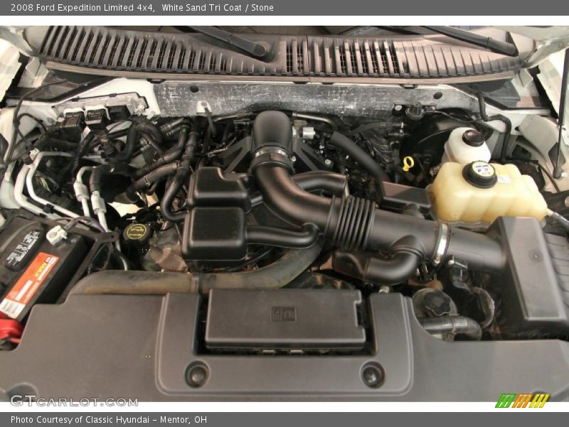 White Sand Tri Coat / Stone 2008 Ford Expedition Limited 4x4