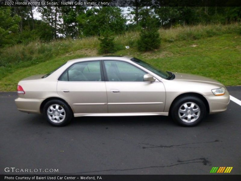 Naples Gold Metallic / Ivory 2002 Honda Accord EX Sedan