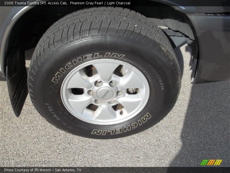 Phantom Gray Pearl / Light Charcoal 2006 Toyota Tundra SR5 Access Cab