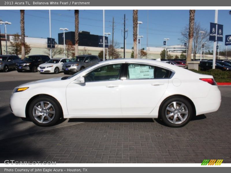 Bellanova White Pearl / Parchment 2013 Acura TL