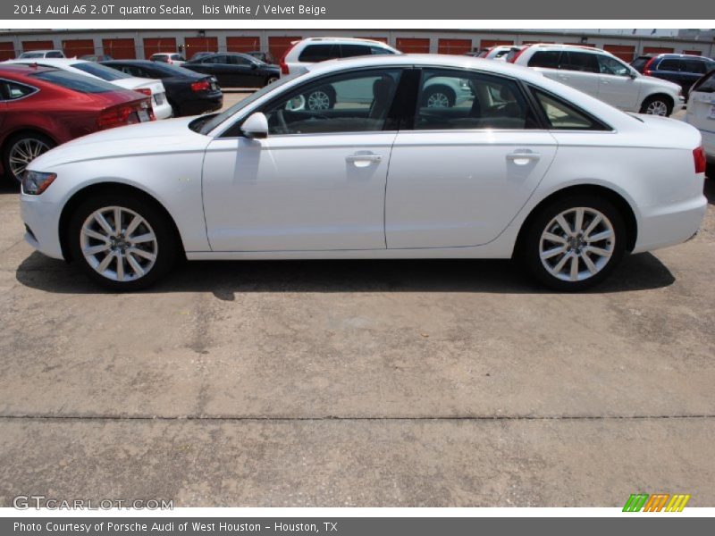 Ibis White / Velvet Beige 2014 Audi A6 2.0T quattro Sedan