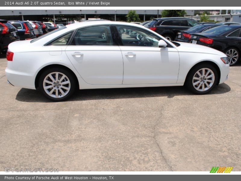 Ibis White / Velvet Beige 2014 Audi A6 2.0T quattro Sedan