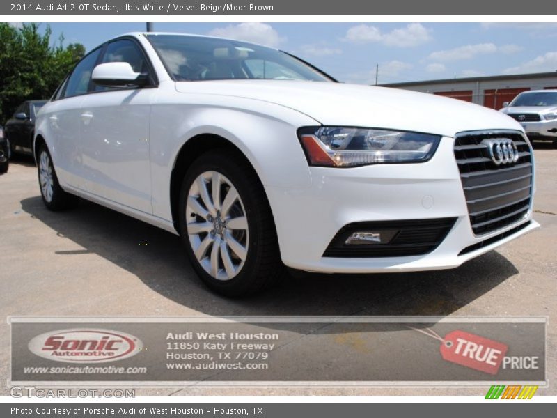 Ibis White / Velvet Beige/Moor Brown 2014 Audi A4 2.0T Sedan