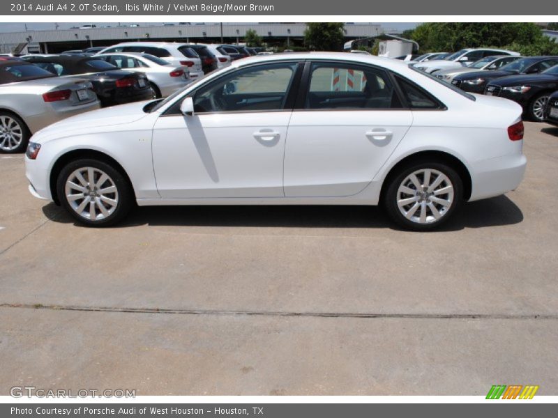 Ibis White / Velvet Beige/Moor Brown 2014 Audi A4 2.0T Sedan