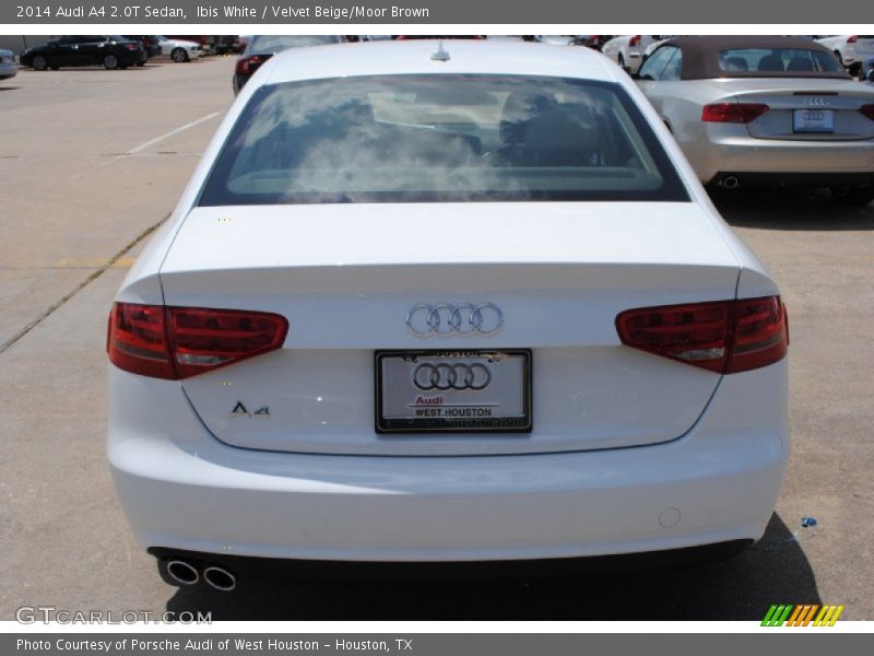 Ibis White / Velvet Beige/Moor Brown 2014 Audi A4 2.0T Sedan