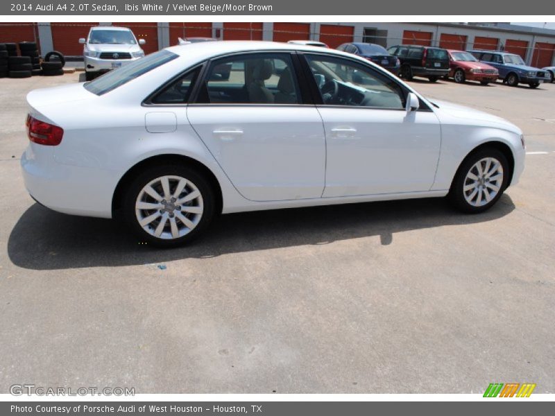 Ibis White / Velvet Beige/Moor Brown 2014 Audi A4 2.0T Sedan