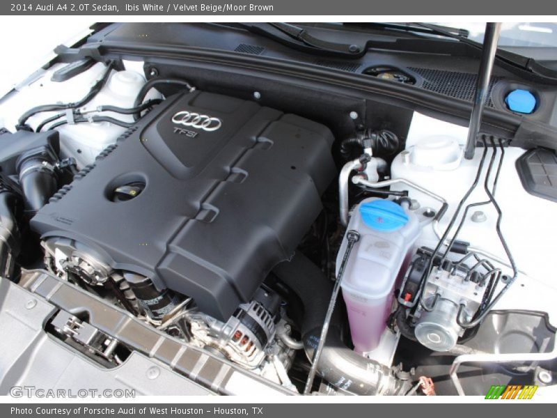 Ibis White / Velvet Beige/Moor Brown 2014 Audi A4 2.0T Sedan