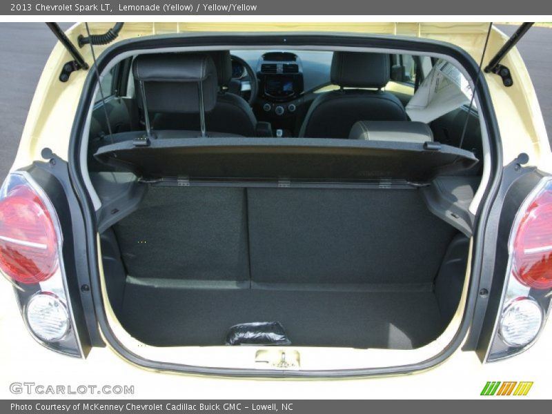  2013 Spark LT Trunk