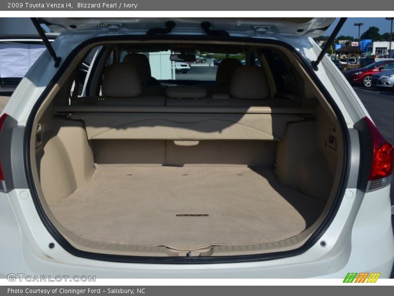 Blizzard Pearl / Ivory 2009 Toyota Venza I4