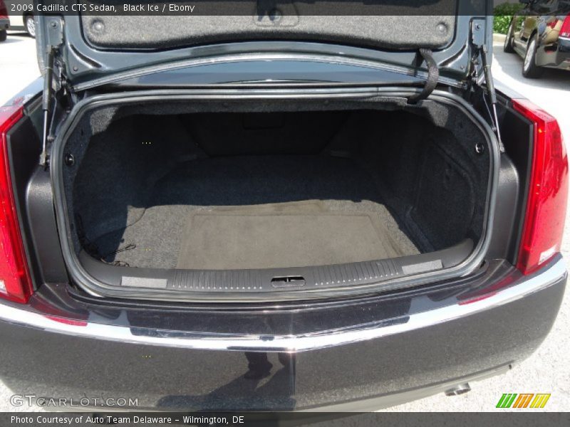 Black Ice / Ebony 2009 Cadillac CTS Sedan