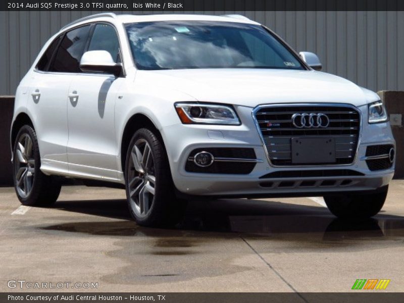 Ibis White / Black 2014 Audi SQ5 Prestige 3.0 TFSI quattro