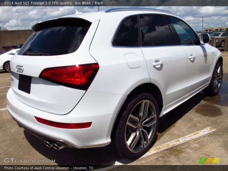  2014 SQ5 Prestige 3.0 TFSI quattro Ibis White