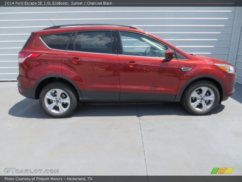 Sunset / Charcoal Black 2014 Ford Escape SE 1.6L EcoBoost