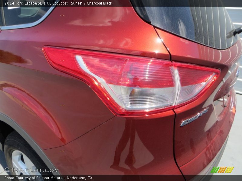 Sunset / Charcoal Black 2014 Ford Escape SE 1.6L EcoBoost