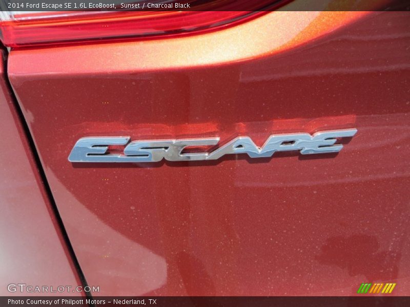 Sunset / Charcoal Black 2014 Ford Escape SE 1.6L EcoBoost