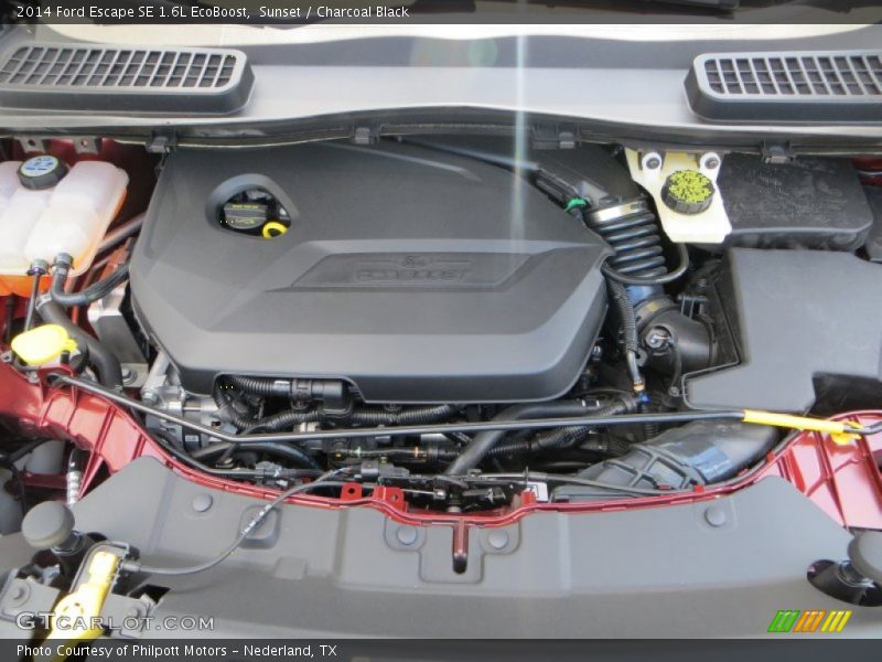 Sunset / Charcoal Black 2014 Ford Escape SE 1.6L EcoBoost