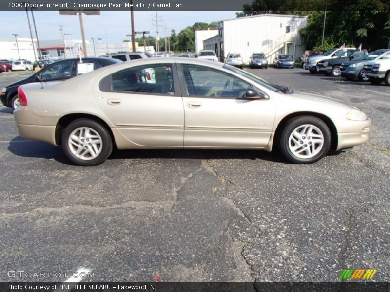 Champagne Pearl Metallic / Camel Tan 2000 Dodge Intrepid