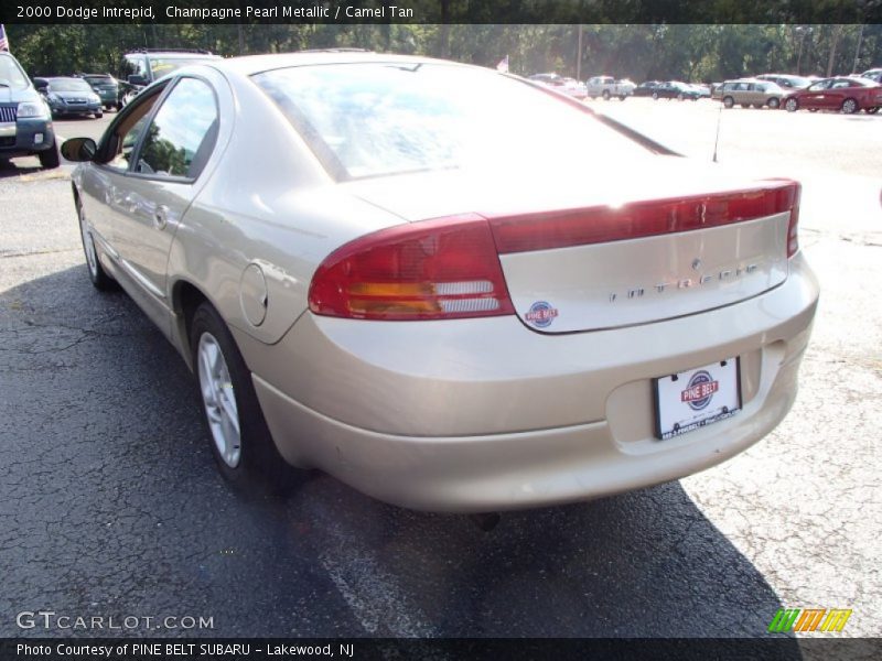 Champagne Pearl Metallic / Camel Tan 2000 Dodge Intrepid